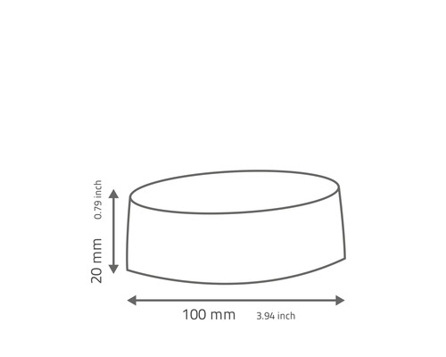 Abbildung einer runden Form mit den Maßen 100 Millimeter Breite und 20 Millimeter Höhe
