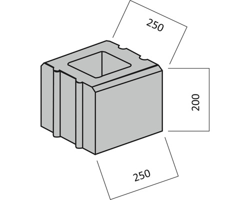 Hohlblockstein mit den Maßen 250 x 250 x 200 Millimeter