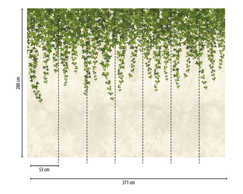 Papier peint avec motif de lierre et dimensions