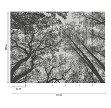 Fototapete Vlies 38240-1 The Wall Baumkronen 7-tlg. 371 x 280 cm