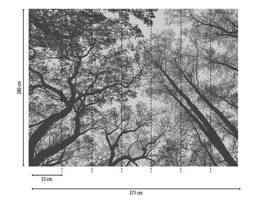 Papier peint avec vue sur la cime des arbres et indications de taille.