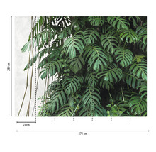 Fototapete mit Pflanzenmotiven und den Maßen 280 mal 371 Zentimeter