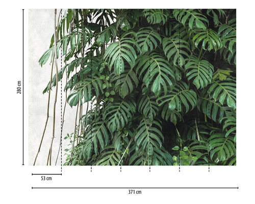 Papier peint photo avec motifs de plantes et dimensions de 280 sur 371 centimètres
