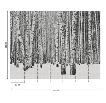 Fototapete Vlies 38259-1 The Wall Birkenwald im Schnee 7-tlg. 371 x 280 cm