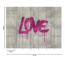 Papier peint photo avec mur en béton et le mot amour en graffiti, 371 sur 280 centimètres