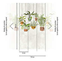Papier peint avec plantes suspendues et indications de dimension