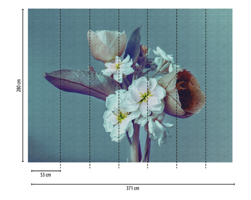 Fototapete mit Blumenmotiv und den Maßen 371 cm mal 280 cm