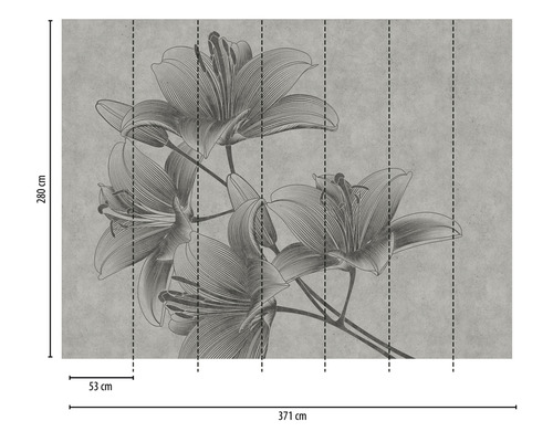 Papier peint photo avec motif de lys et indications de dimensions