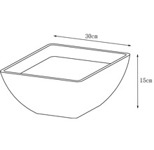 Skizze einer Pflanzschale mit den Maßen 30 cm Breite und 15 cm Höhe.