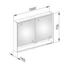 Spiegelschrank KEUCO Royal Lumos 100 x 16,5 x 73,5 cm verspiegelt 2-türig LED IP 24 713