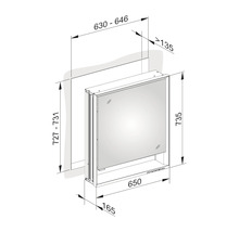 Spiegelschrank KEUCO Royal Lumos 65 x 16,5 x 73,5 cm silber 1-türig LED IP 24 Unterputz 711