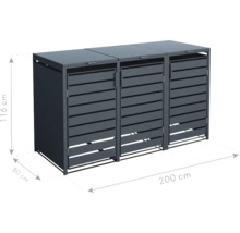 Mülltonnenbox für drei Mülltonnen mit den Maßen 200 cm x 80 cm x 116 cm