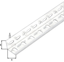 Profilé d'angle Conceptor perforé galvanisé 35x35x1 mm, 2m-thumb-1