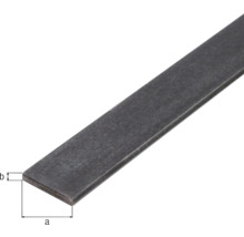 Acier plat en acier