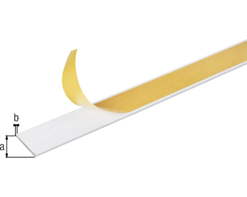 Bande d''étanchéité avec bande adhésive