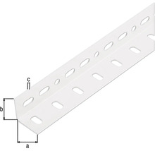 Profilé d'angle Conceptor perforé blanc 25x25x1 mm, 1m-thumb-1