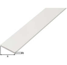 Baguette en plastique avec indication de la largeur a et indication de l''épaisseur b