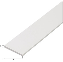 Barre plate PVC blanc 20 x 2 x 2 mm , 1 m-thumb-1
