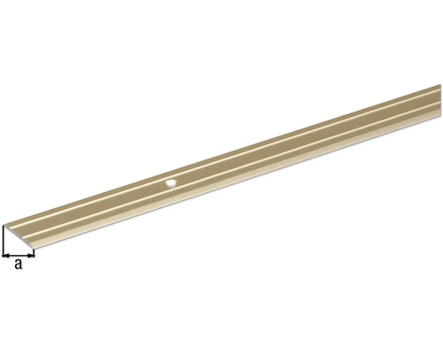 Übergangsprofil mit Befestigungslöchern