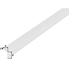 Illustration eines Winkels mit den Seitenlängen a, b und c