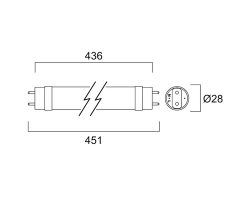 Abmessungen einer Leuchtstofflampe mit 436 mm und 451 mm Länge sowie 28 mm Durchmesser.