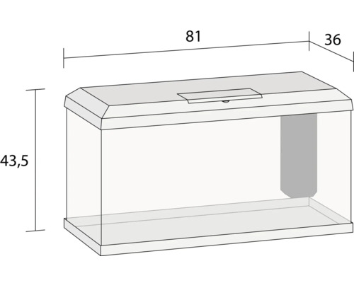 Aquarium mit den Maßen 81 x 36 x 43,5 cm