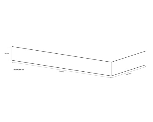Technische Zeichnung eines Bauelements mit den Maßen 40 x 100 x 290 Millimeter