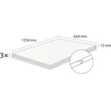 Trois panneaux de dimensions 1250 mm x 660 mm x 12 mm