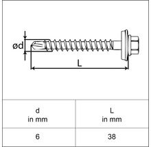 Illustration einer Bohrschraube mit Maßangaben: Durchmesser 6 mm, Länge 38 mm.