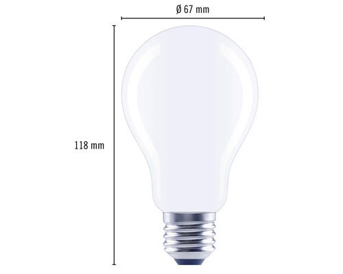 Ampoule avec des dimensions de 67 millimètres de diamètre et 118 millimètres de hauteur.