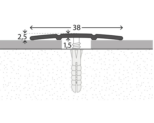 Illustration eines Übergangsprofils mit den Maßen 38 mm Breite, 2,5 mm Höhe und 1,5 mm Abstand zum Boden, befestigt mit Schrauben und Dübeln