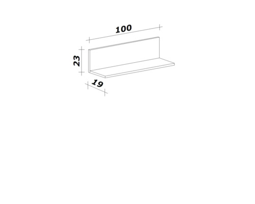 Technische Zeichnung eines Wandregals mit den Maßen 100 x 23 x 19