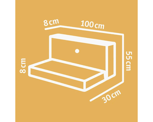 Technische Zeichnung einer Wandklappbank mit den Maßen 100 x 55 x 30 cm.