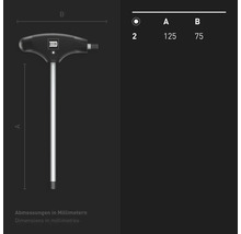 Tournevis à poignée en T INBUS® 70044 2mm, avec HybridTouch