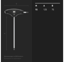 Clé à poignée en T INBUS avec Torx, taille 15, dimensions 125 sur 75 millimètres