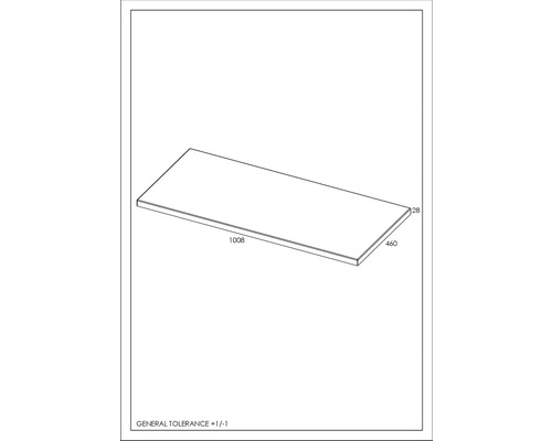 Technische Zeichnung einer Arbeitsplatte mit den Maßen 1008, 460 und 28 Millimeter