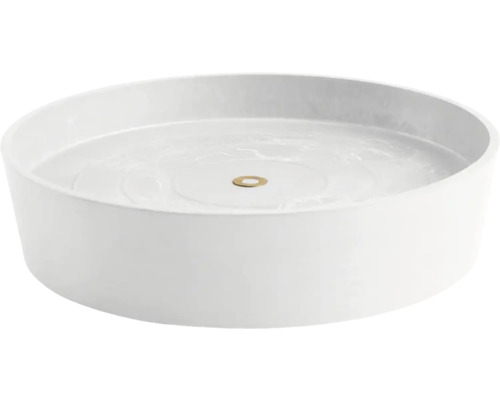 Weißes Aufsatzwaschbecken mit rundem Design und goldfarbenem Abfluss
