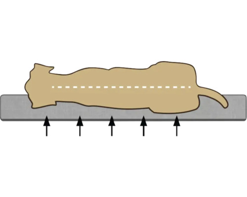 Illustration d''une répartition de charge horizontale sur une surface