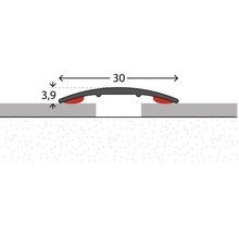 Illustration d''une barre de seuil de dimensions 30 par 3,9